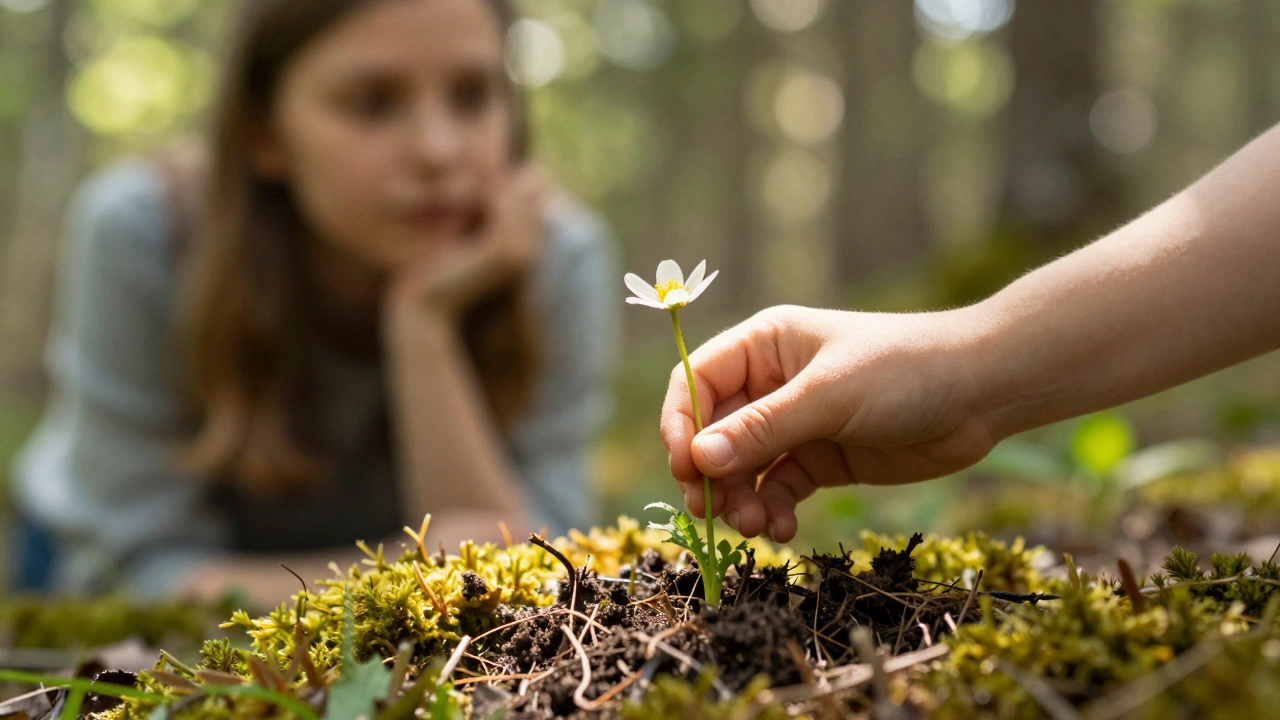 Ребенок осторожно возвращает дикую цветок на землю, взрослый наблюдает, солнечный свет выделяет мхи и корни.